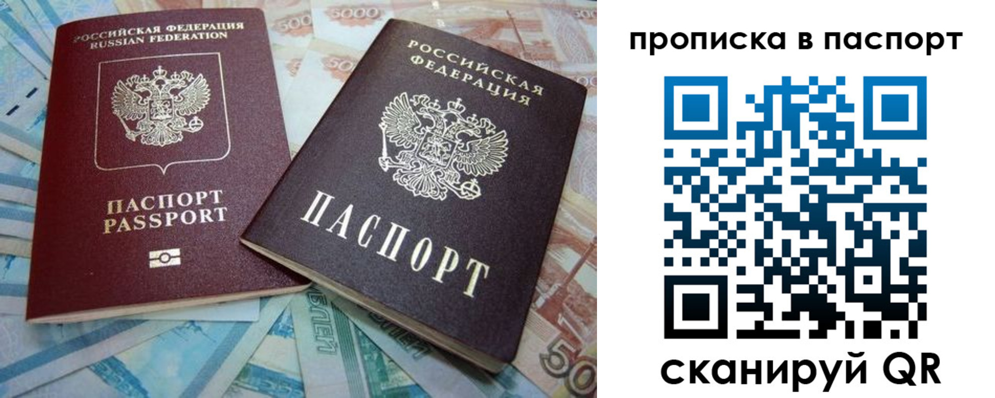 прописка поиск в Камчатском крае